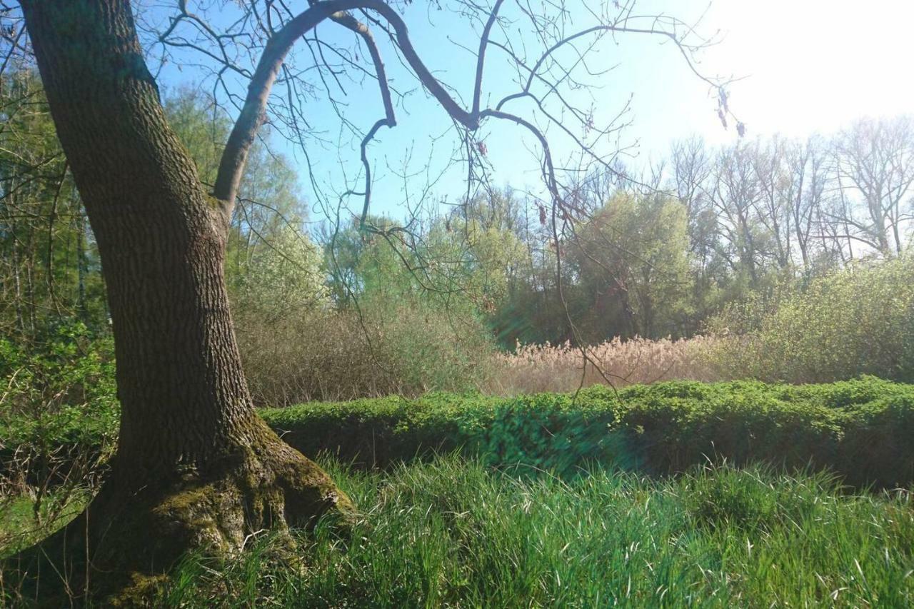 Sonniges Haeuschen Mit Garten Braunschweig Esterno foto